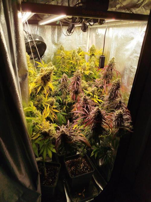 Balcony somewhere in Europe 2025. Week 21