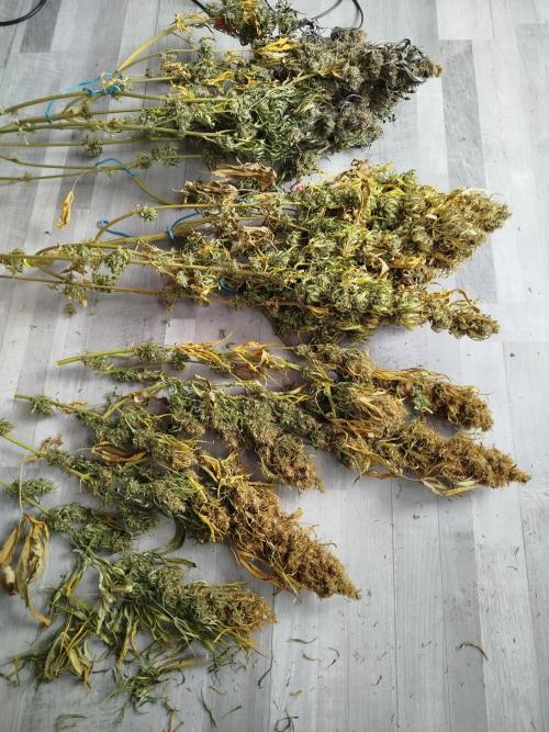 Balcony somewhere in Europe 2025. Week 22