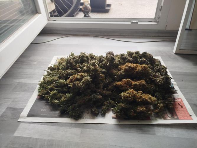 Balcony somewhere in Europe 2025. Week 22