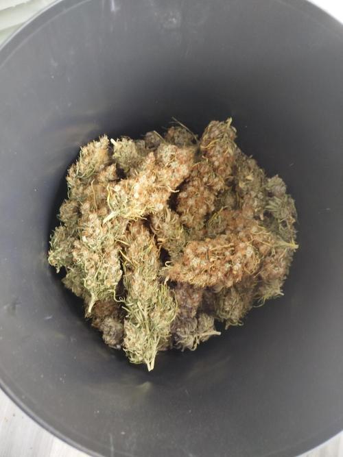 Balcony somewhere in Europe 2025. Week 22