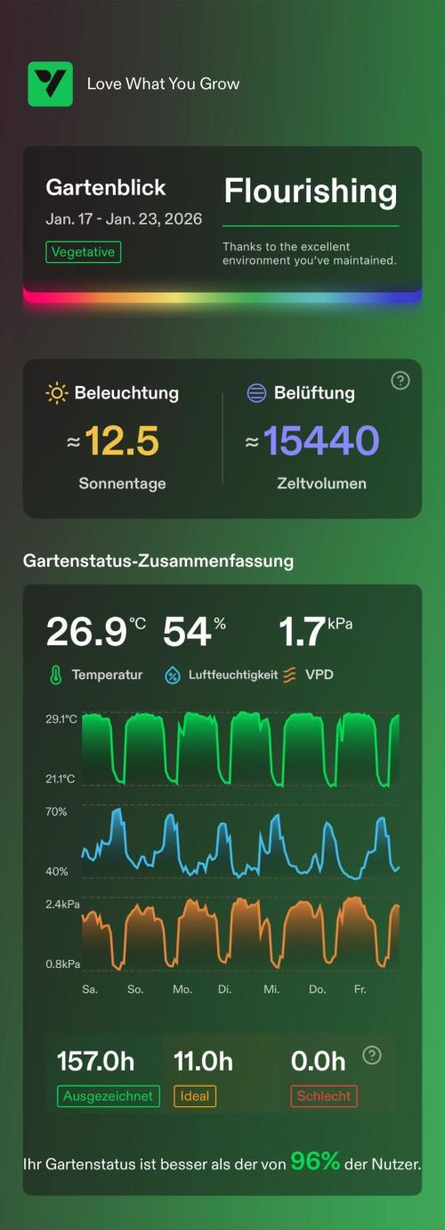 Vgrow | White Truffle Auto. Week 3