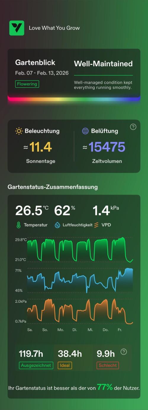 Vgrow | White Truffle. Week 6