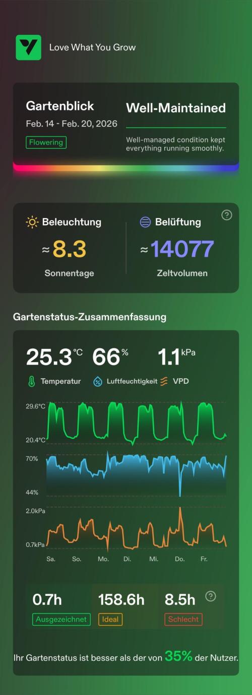 Vgrow | White Truffle. Week 7