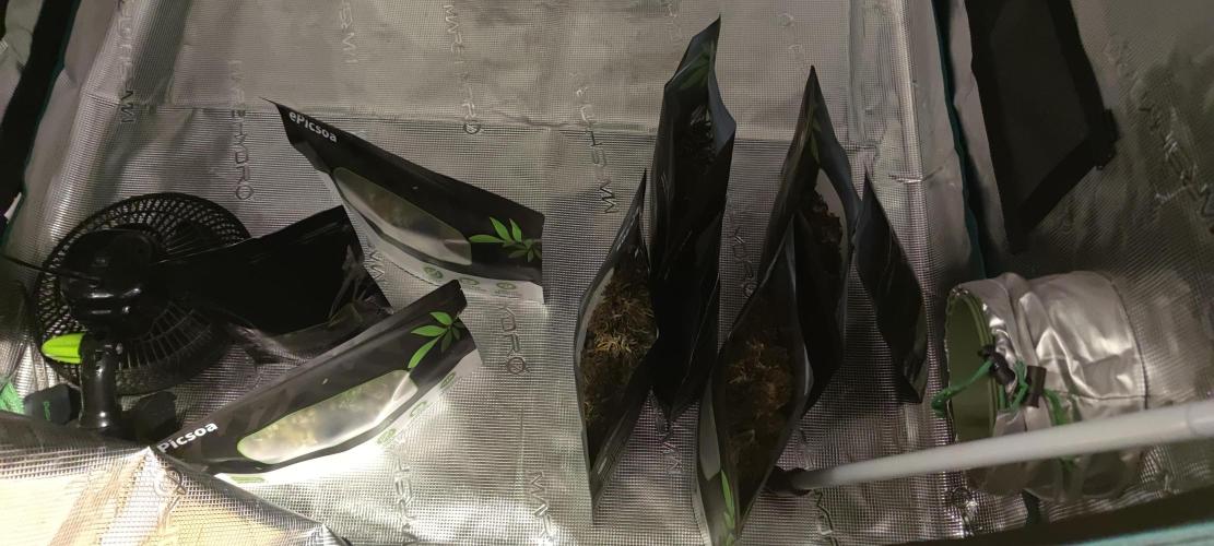 Lemon cherry Cookies Auto. Week 7