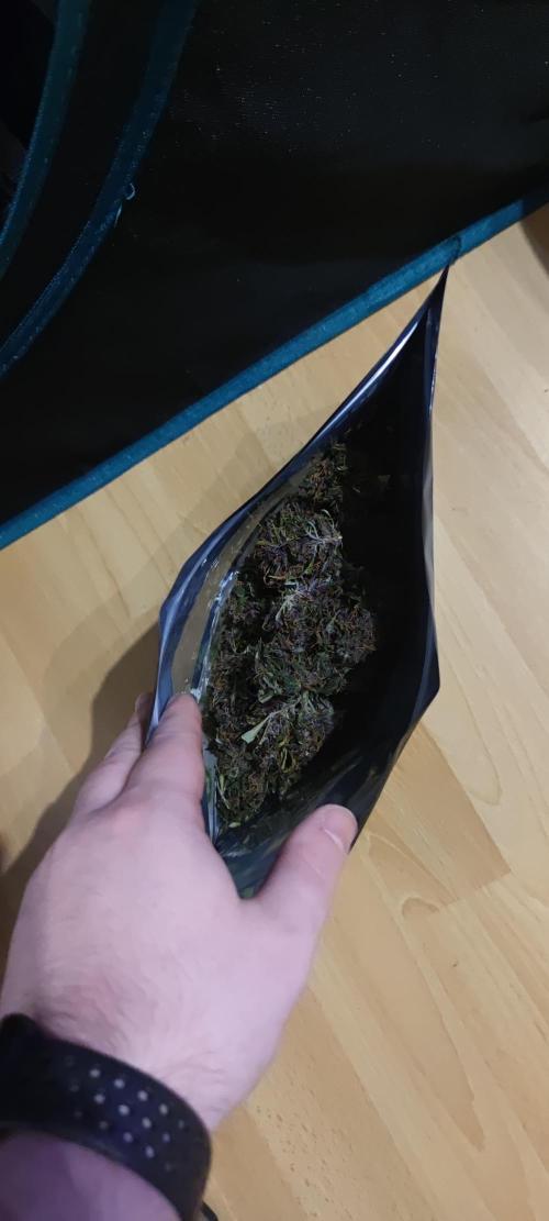 Lemon cherry Cookies Auto. Week 7