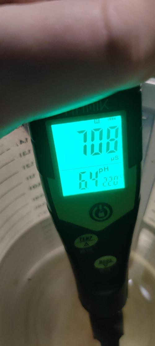 Sticky Broccoly. Week 0