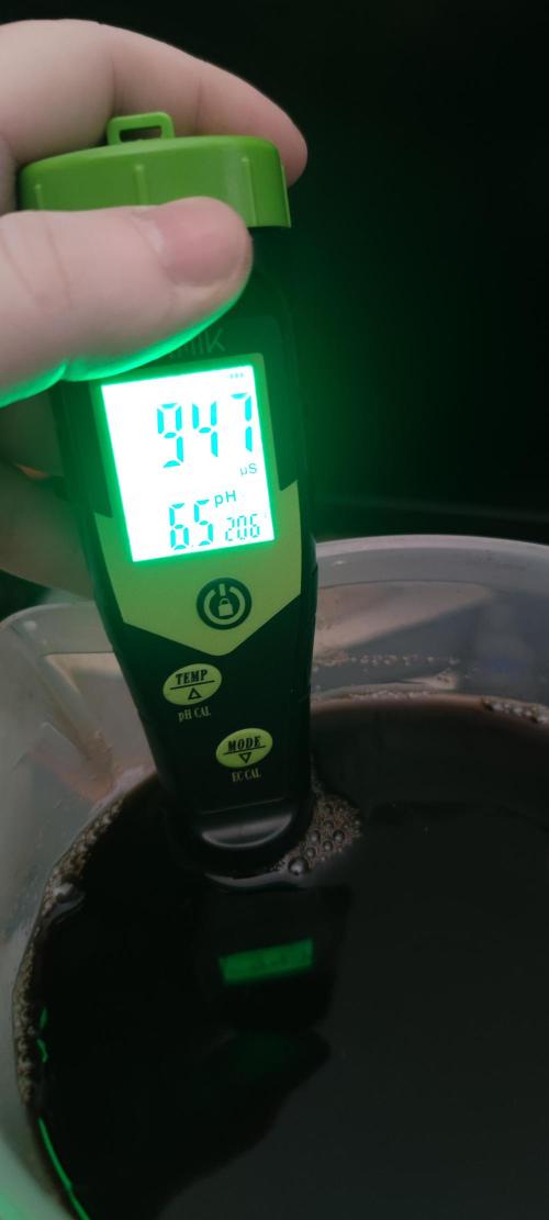 Watermelon Rqs photo. Week 1