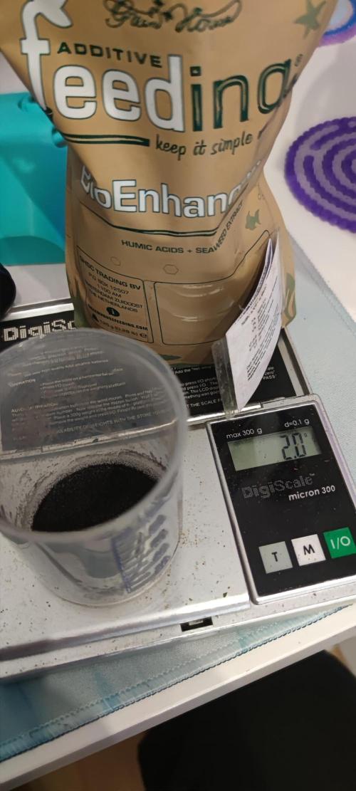 Watermelon Rqs photo. Week 1