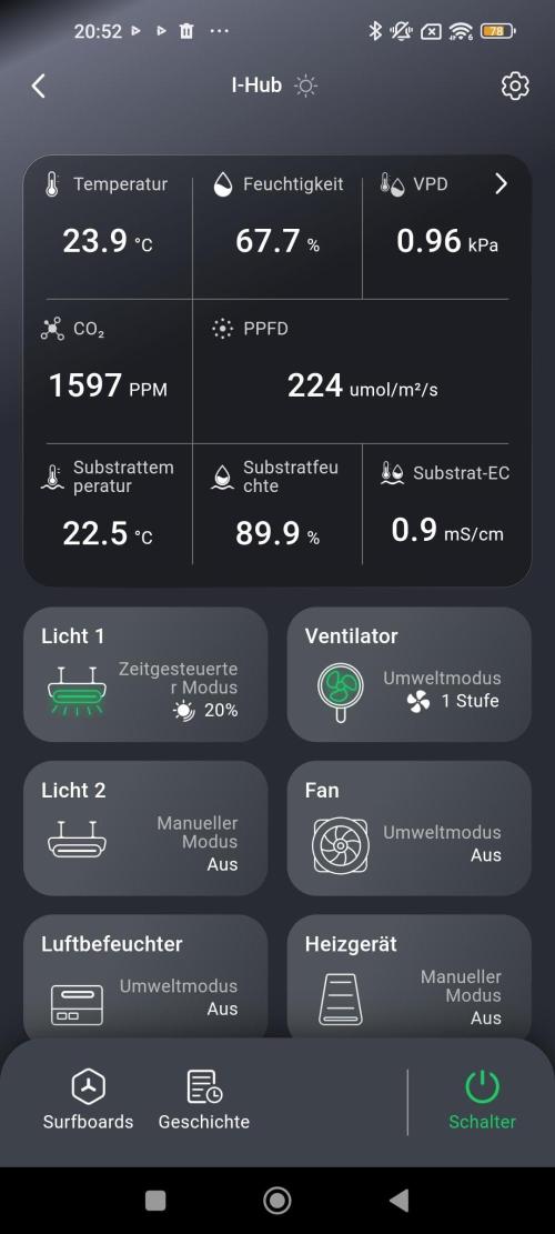 Eternity Grow Sticky Broccoli. Week 1