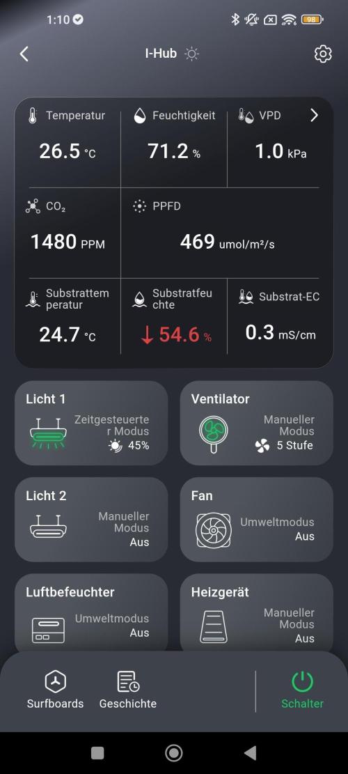 Eternity Grow Sticky Broccoli. Week 2