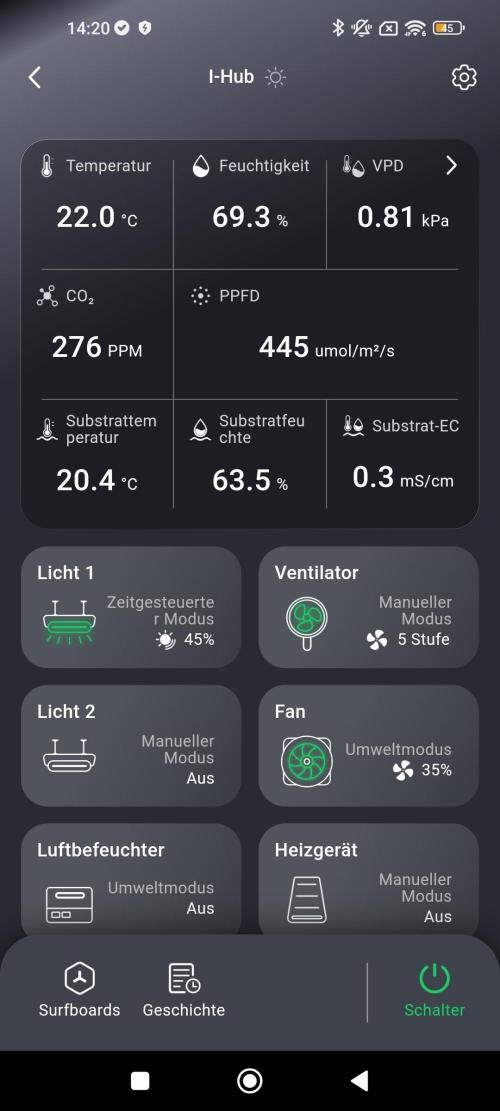 Eternity Grow Sticky Broccoli. Week 4