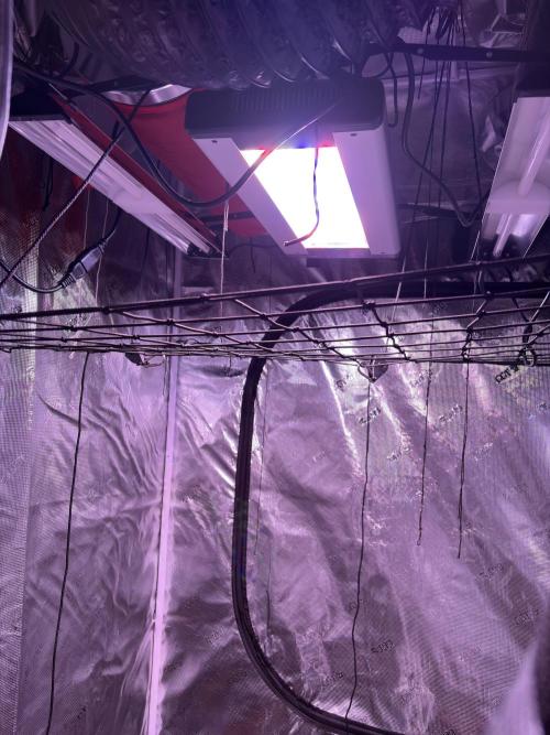 FastBuds Indoor DIY Automation Grow. Week 0 - view of the top of tent