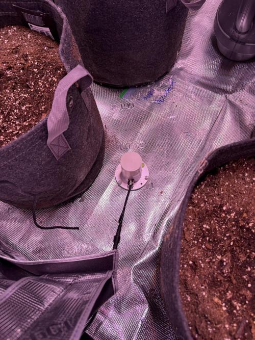 FastBuds Indoor DIY Automation Grow. Week 1 - Oops, forgot to take off the protective cover.