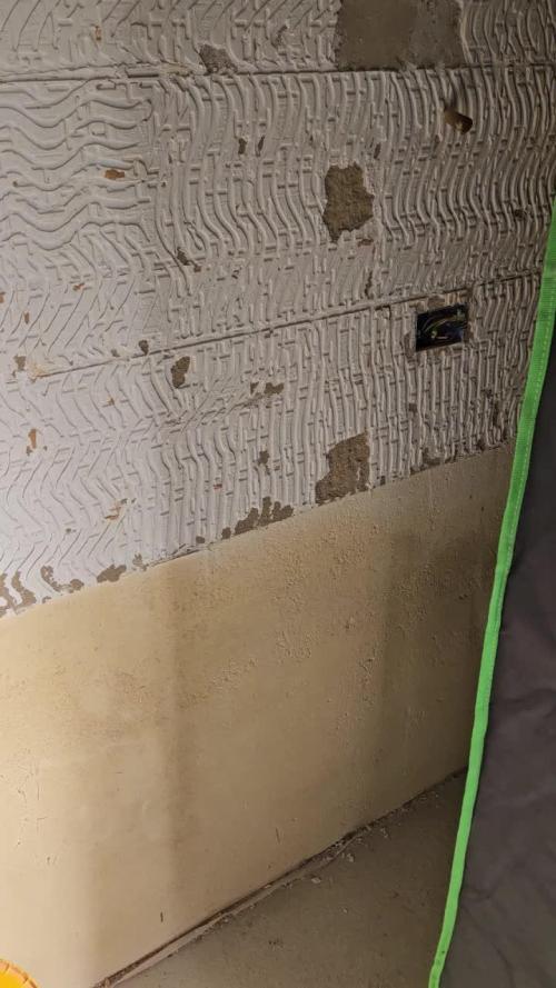 critical orange punch blooming