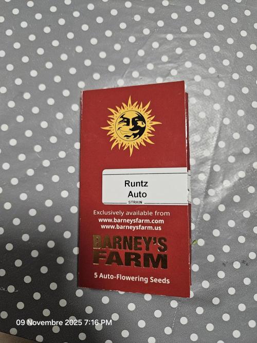 First Time in Coco... Send Help. Week 0