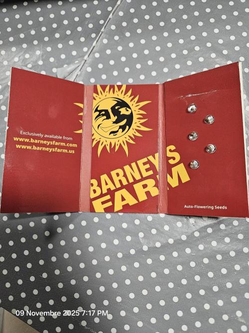 First Time in Coco... Send Help. Week 0