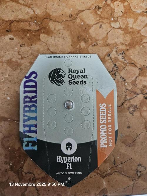 First Time in Coco... Send Help. Week 0