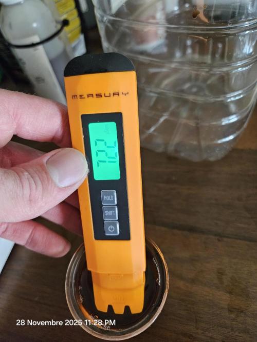 First Time in Coco... Send Help. Week 2