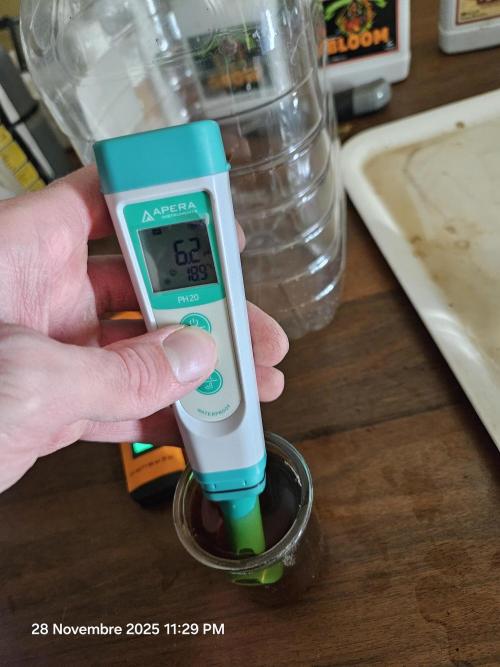 First Time in Coco... Send Help. Week 2