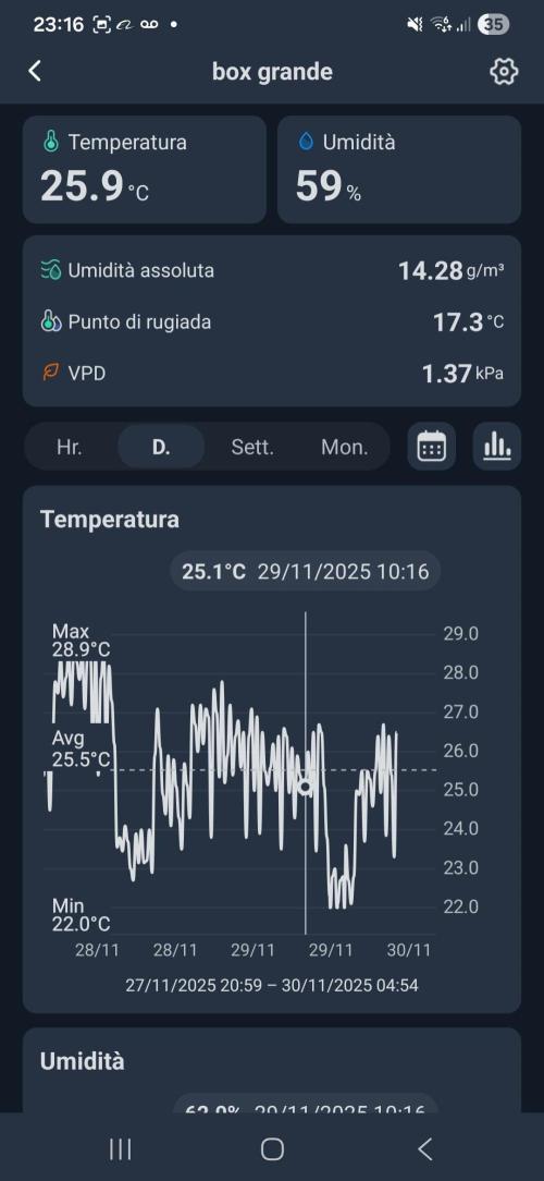 Three Sisters and a Tourist. Week 14