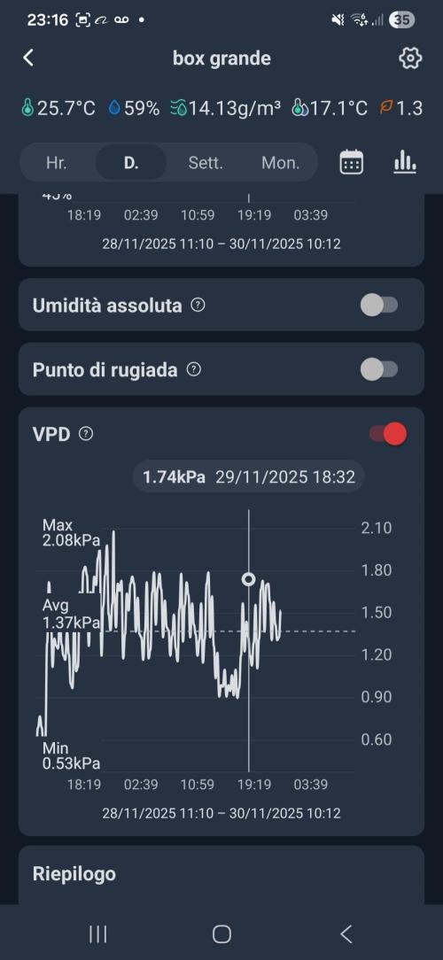 Three Sisters and a Tourist. Week 14