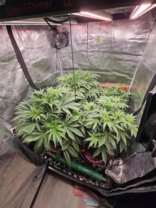 First Time in Coco... Send Help. Week 5