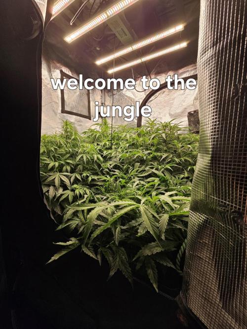 First Time in Coco... Send Help. Week 5