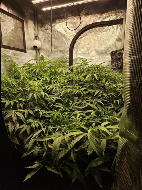 First Time in Coco... Send Help. Week 6