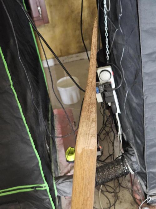 Three Sisters and a Tourist. Week 18