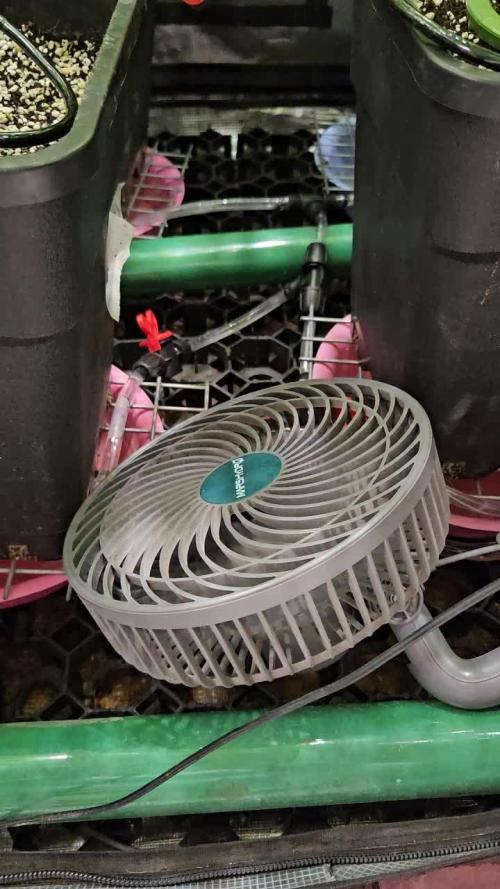 First Time in Coco... Send Help