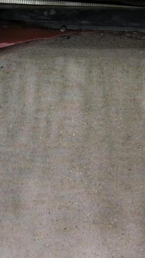 First Time in Coco... Send Help