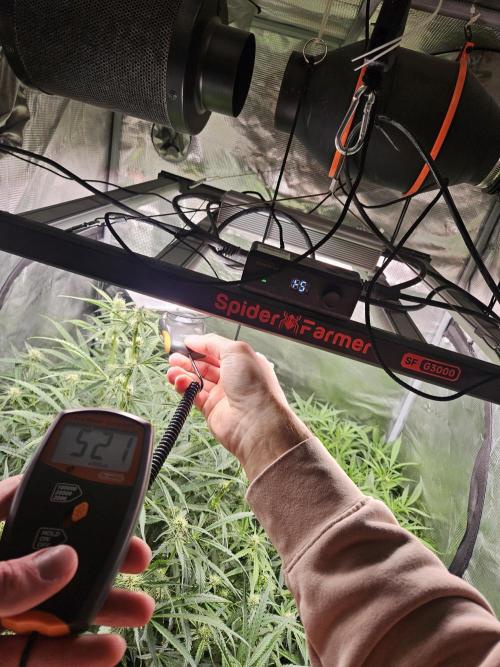 First Time in Coco... Send Help. Week 7