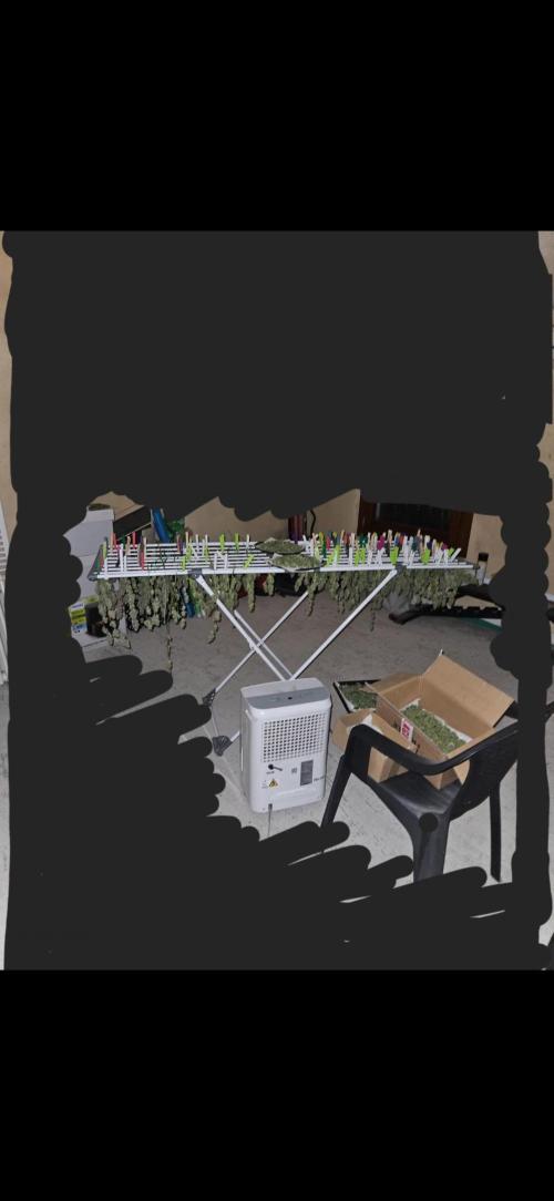 First Time in Coco... Send Help. Week 12