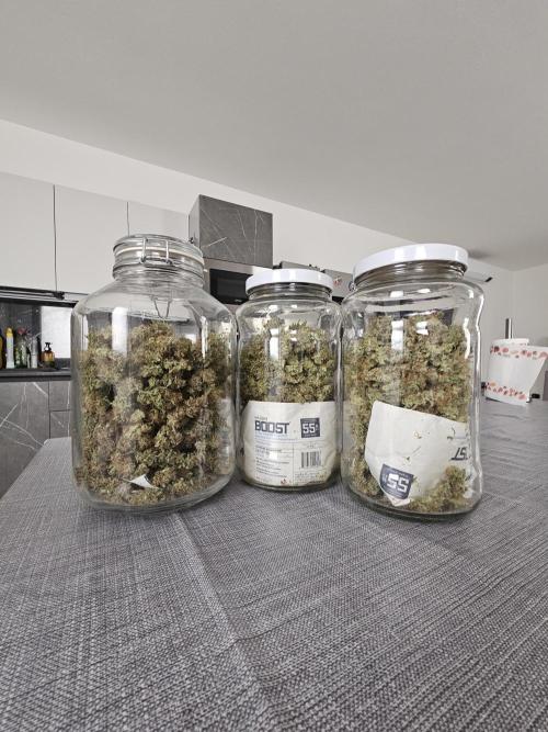 First Time in Coco... Send Help. Week 12