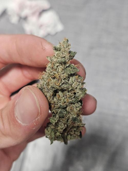 A Mindful Grow: Mental Rainbow. Week 13