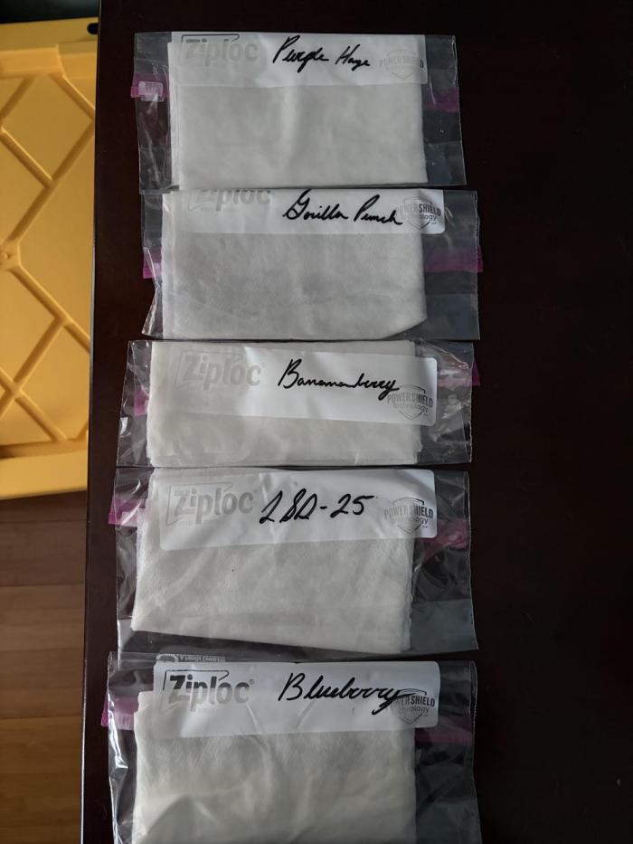 Auto Run. Week 0 - As of this morning all seeds have popped and shown a tap root. 100% germination.