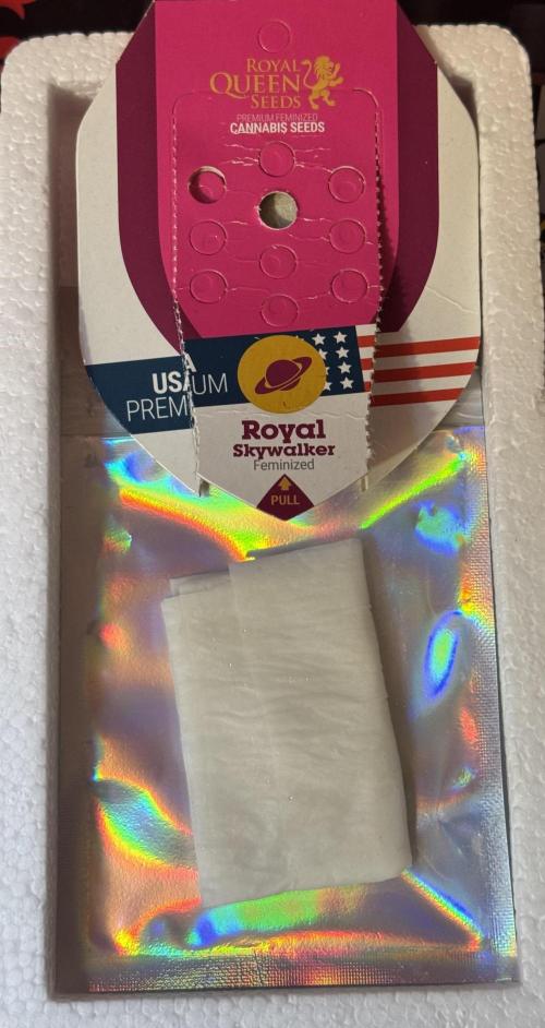 6th grow royal skywalker by RQS. Week 0