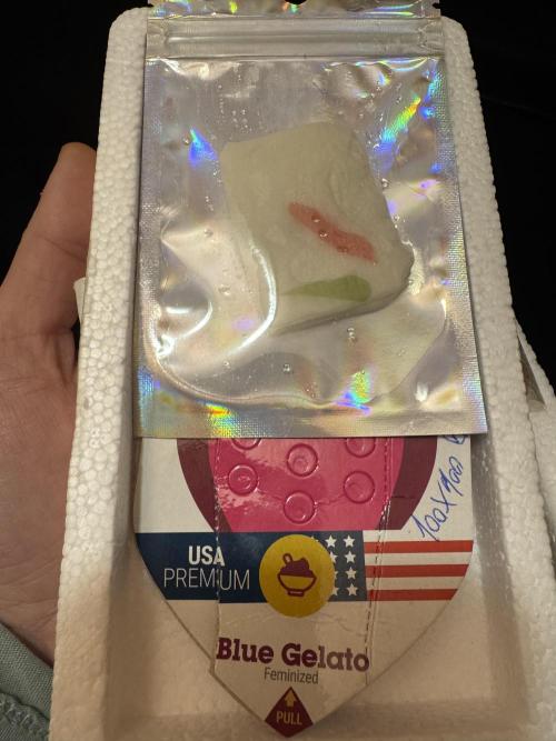 7th grow 1st HYDRO! Blue gelato by RQS. Week 0