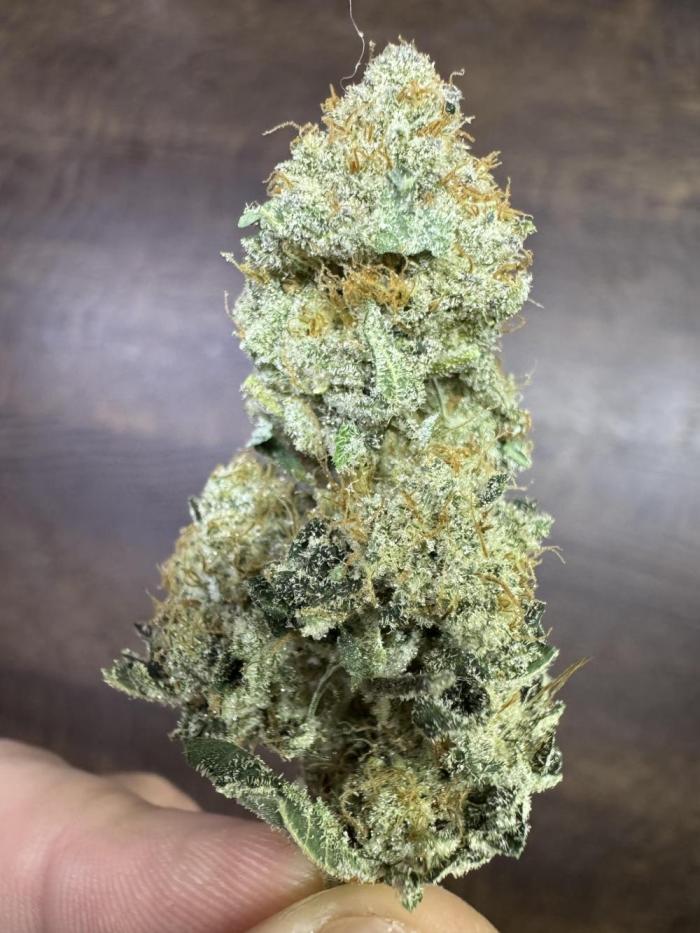 Second indoor grow!. Week 24