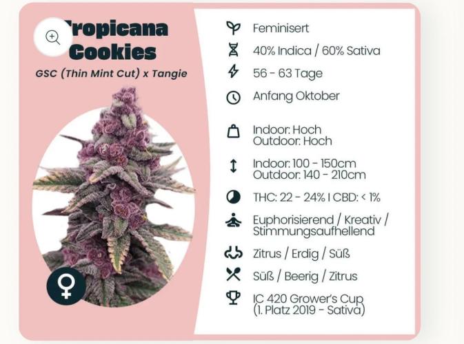 Grow no.9 tropicana cookies hydro. Week 0