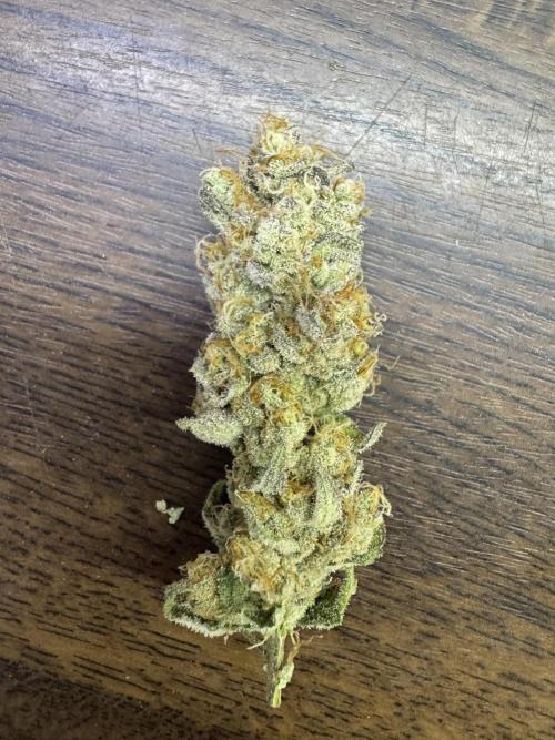 7th grow 1st HYDRO! Blue gelato by RQS. Week 11
