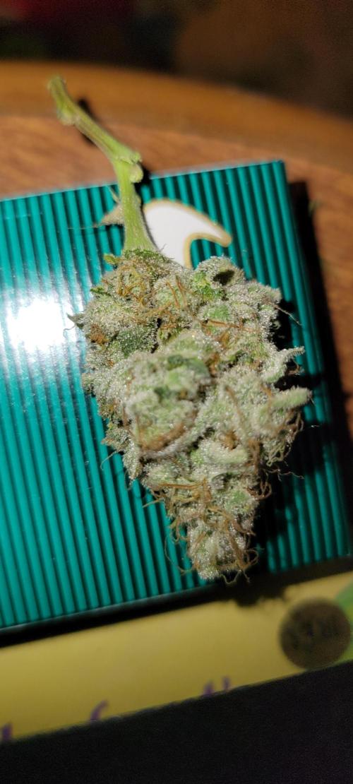 Permanent Marker. Week 14