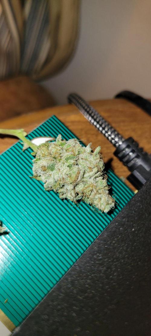 Permanent Marker. Week 14