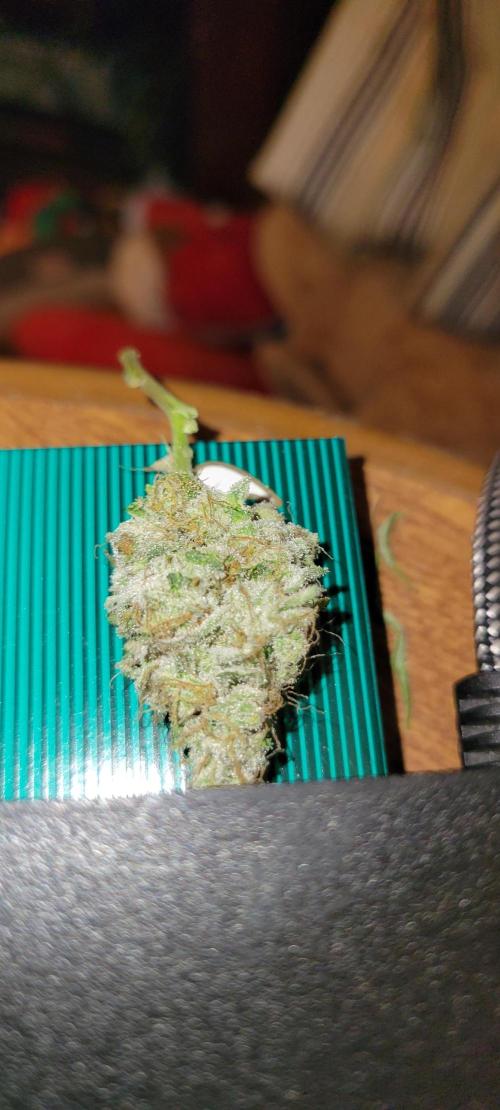 Permanent Marker. Week 14