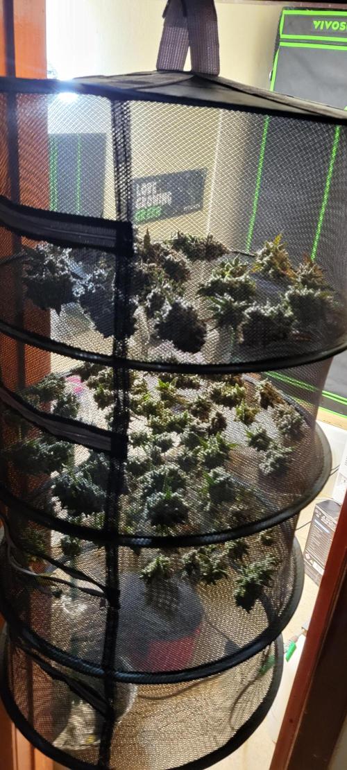 Permanent Marker. Week 15