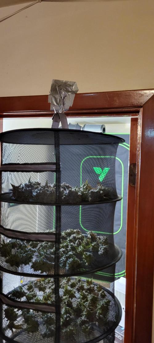 Permanent Marker. Week 15