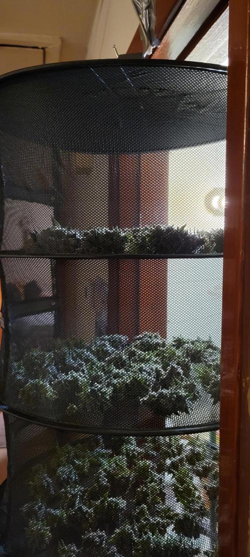 Permanent Marker. Week 15