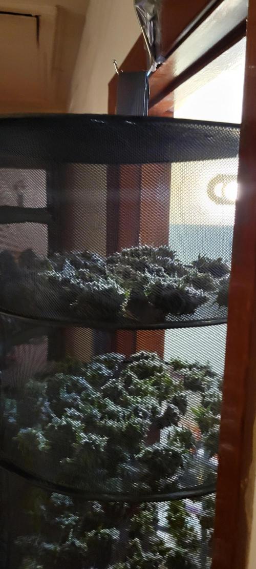 Permanent Marker. Week 15