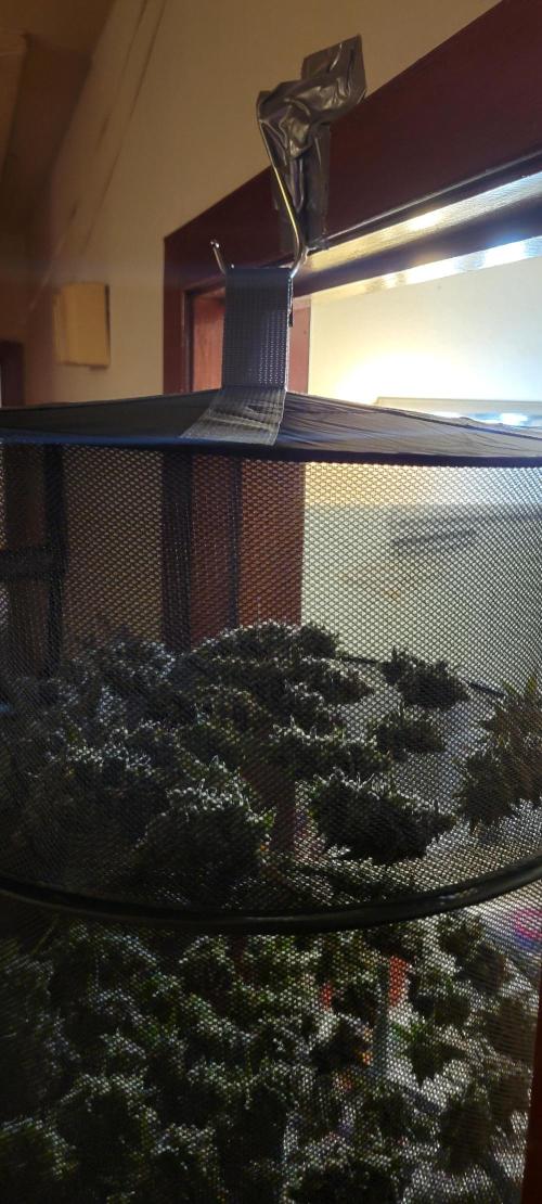 Permanent Marker. Week 15