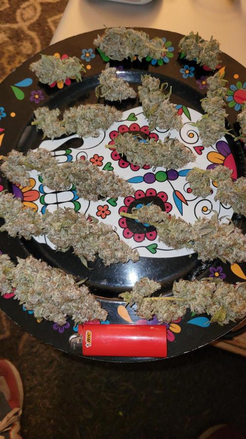 Permanent Marker. Week 15